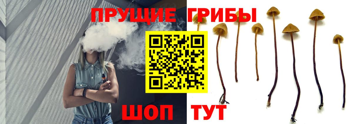 Псилоцибиновые грибы GOLDEN TEACHER  даркнет сайт  Вольск  Вход с VPN  Псилоцибиновые грибы MAGIC MUSHROOMS 